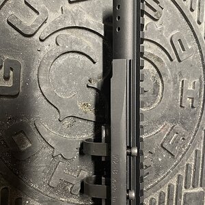 FCA37897-8896-4292-BF0B-A46C64177275.jpeg