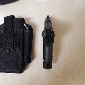 P223.jpg