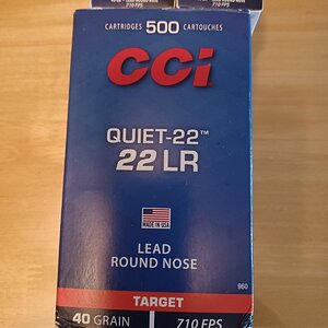 CCI Quiet.jpg