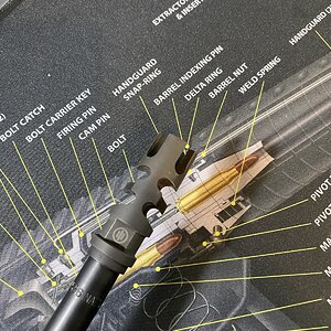 3FA1BD39-6BA3-4C5D-834D-30C4998D254B.jpeg