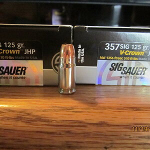 .357 sig 002.JPG
