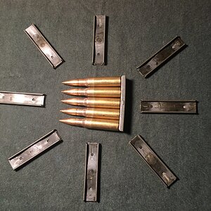 Stripper Clips1.jpeg