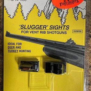 Slugger Sights (Williams).JPG