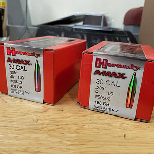 30_168_Amax.jpeg