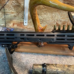 MARLIN 8.jpg