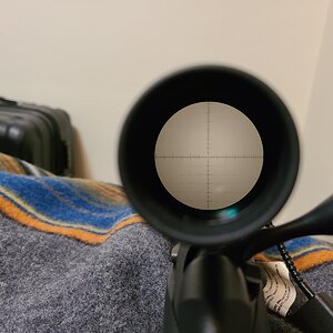 20220203_043609.jpg
