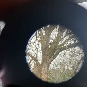 C7CDE20C-B405-4D61-993F-F9BB0B49F370.jpeg