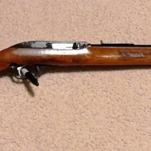 marlin (2).jpg