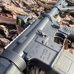 colt2930-3.jpg