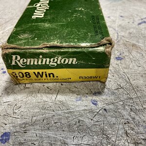 308.jpg