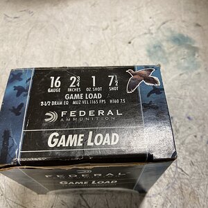 16ga.jpg