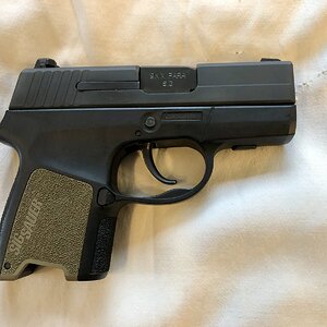IMG_1580.JPEG