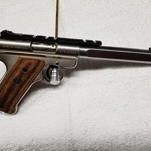 Ruger Target_right.jpg