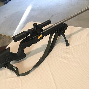 MY RUGER.jpg