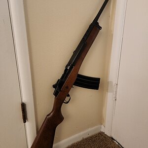 20220305_185714.jpg