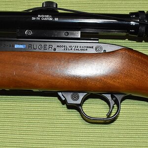 RcvrL.JPG