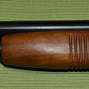 LForearm.JPG