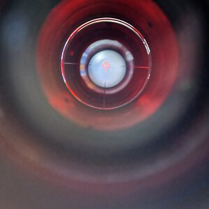 6111CA9D-606F-4BCD-BB3E-DEB762FD82C3.jpeg
