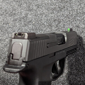 P365X-5.jpg