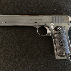 Colt-2.jpg