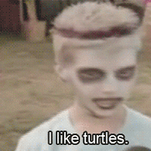 I like turtles.gif
