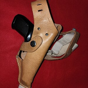 shoulder harness.jpg