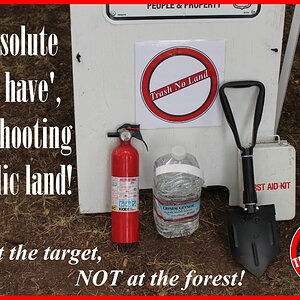 Fire at the target not forest.jpg