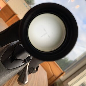 5E498534-D4C9-4309-8AFD-1A1868B2E01E.jpeg