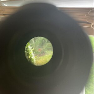 OpticGlass.jpg