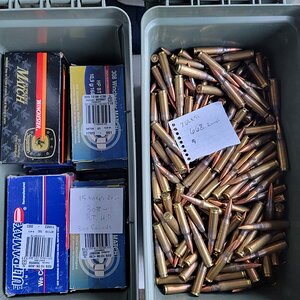 Ammo.jpg