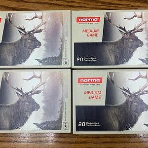 ammo1.jpg