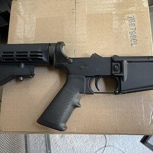 COLT 2.jpg