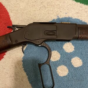 colt 7.jpeg