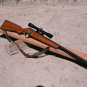 81DL a.JPG