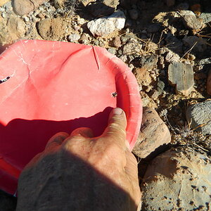 DSCN5505.JPG