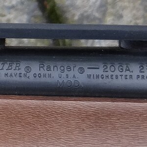 Shotgun 3.JPG