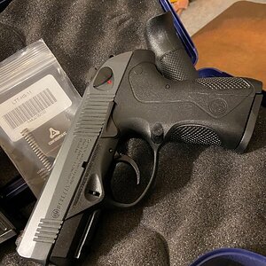px403.JPG