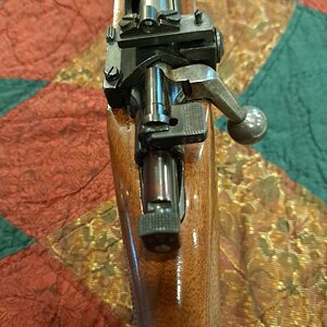 Mauser sport 8.jpg