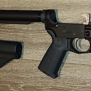PSA Lower (4).jpg