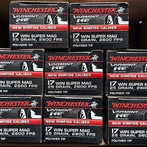 Winchester 17WSM 25gr.jpg