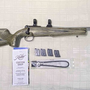 kimber-2.jpg