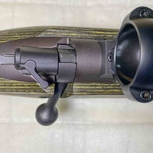 kimber-9.jpg