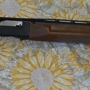 Shotgun 1.JPG