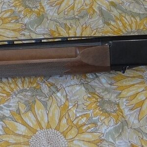Shotgun 2.JPG