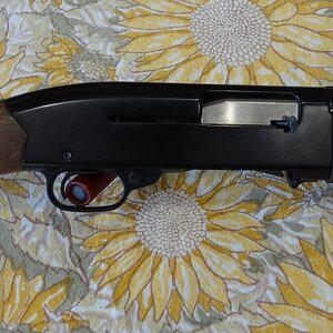 Shotgun 4.JPG