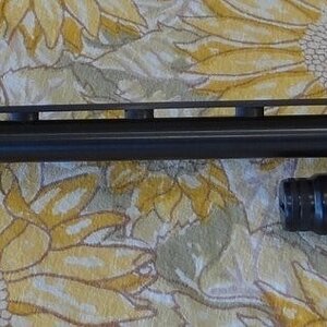 Shotgun 6.JPG
