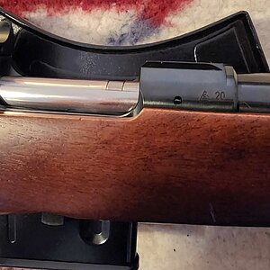 20230408_193511.jpg