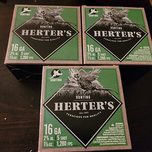 16813612987501072256068370868522.jpg