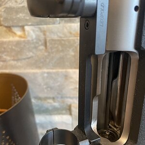 IMG_2554.jpeg