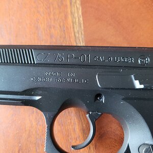 p01-2.jpg